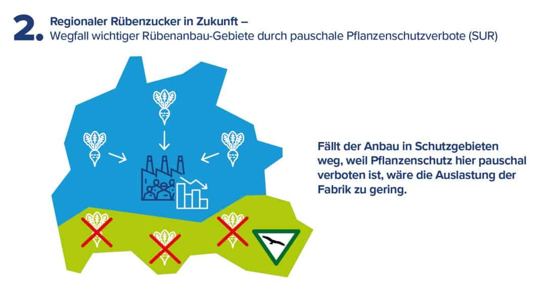 EU-Pläne Zum Einsatz Von Pflanzenschutzmitteln Gefährden Zuckerbranche ...